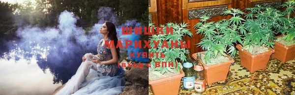 кокс Арсеньев