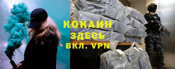 прущие грибы Аркадак